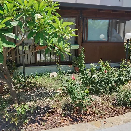 Pomelia * Campofelice Di Roccella